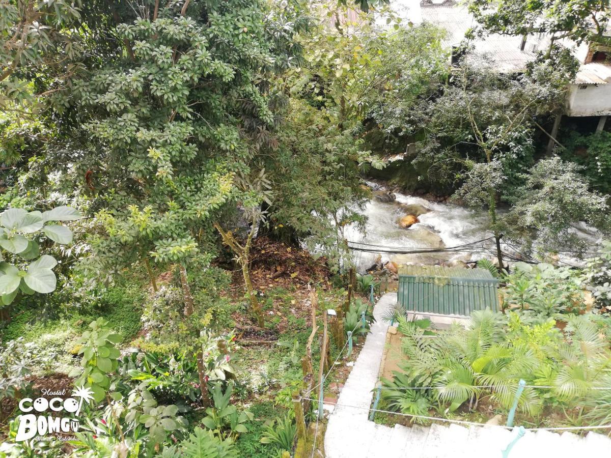 Hostal Coco Bomgo Minca Εξωτερικό φωτογραφία